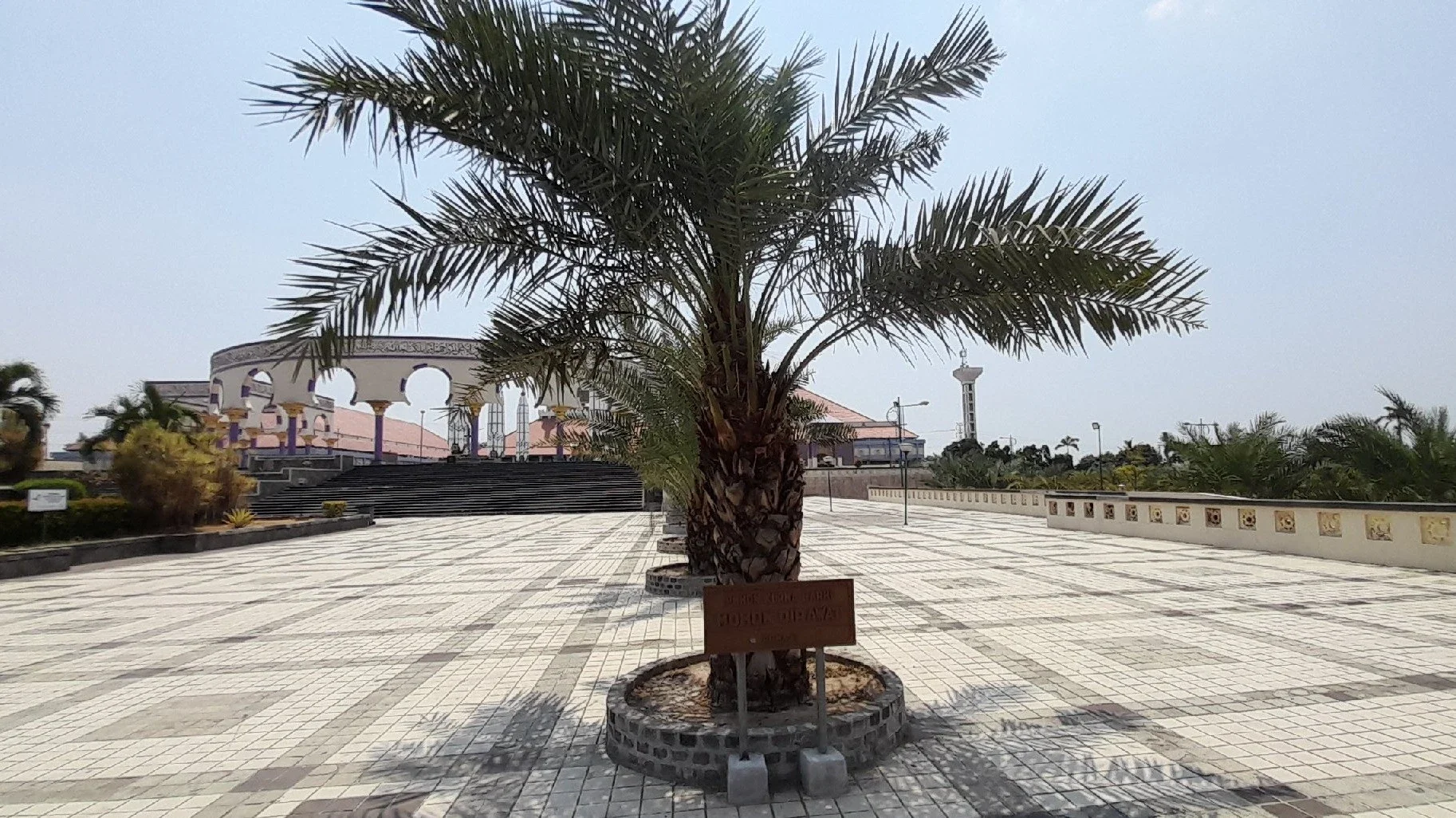 Pohon Kurma Di Halaman Masjid Agung Semarang