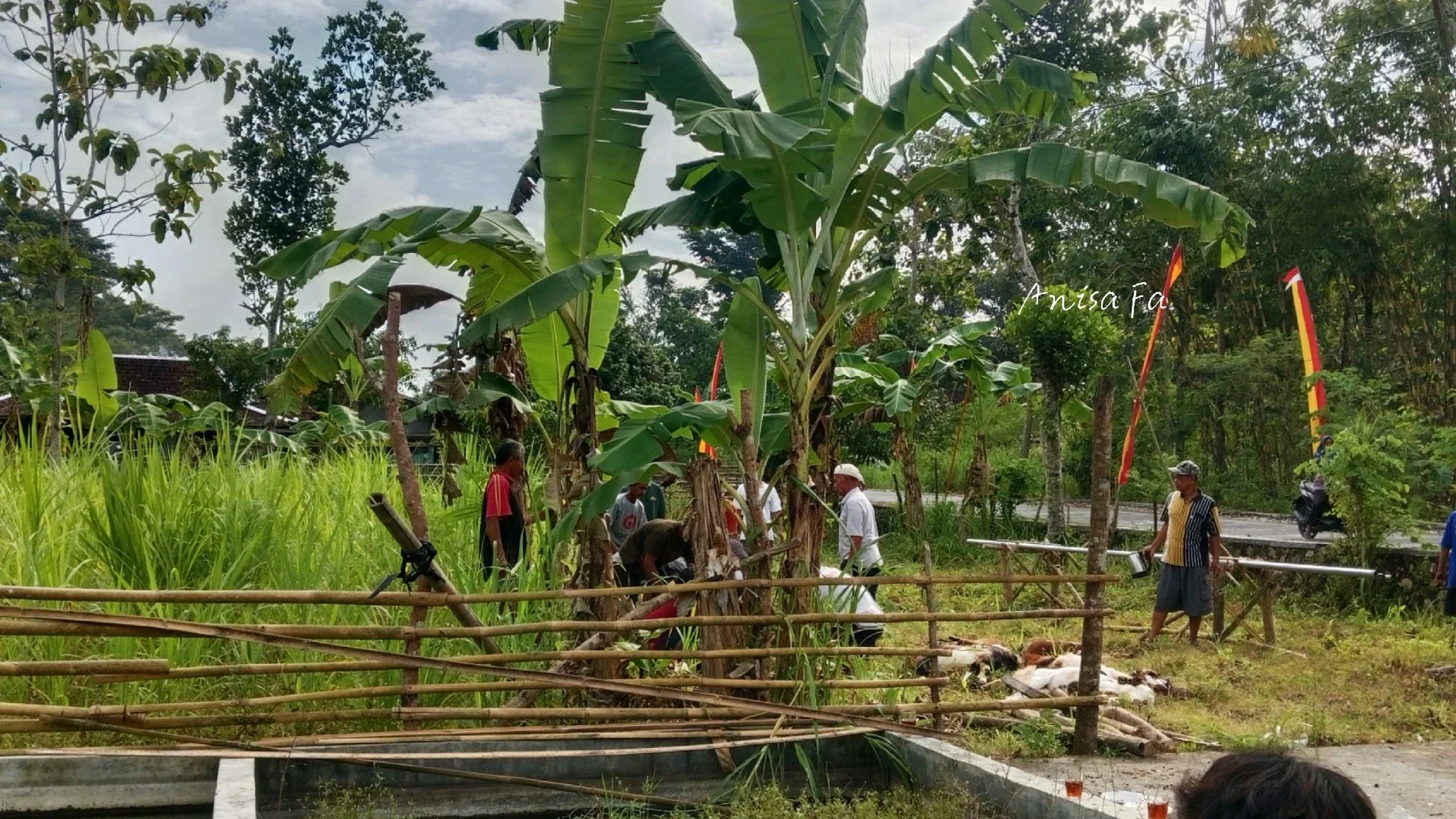 Proses Menyembelih Hewan Qurban #MaknaIdulAdha