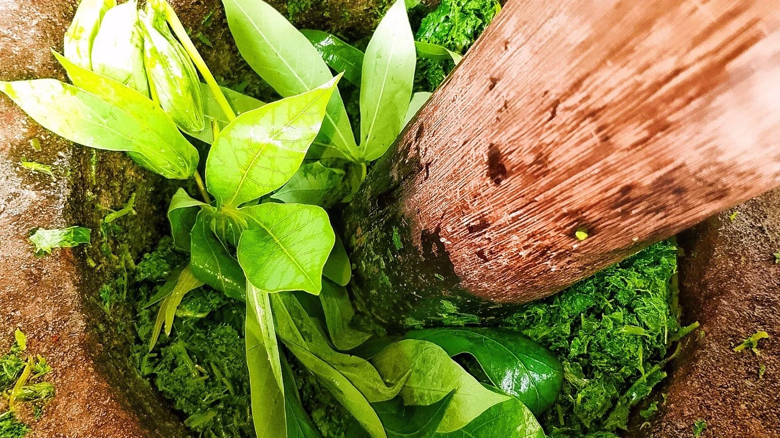 proses penumbukan daun singkong