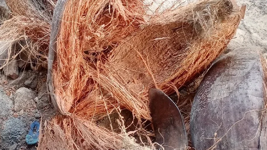 sabut kelapa
