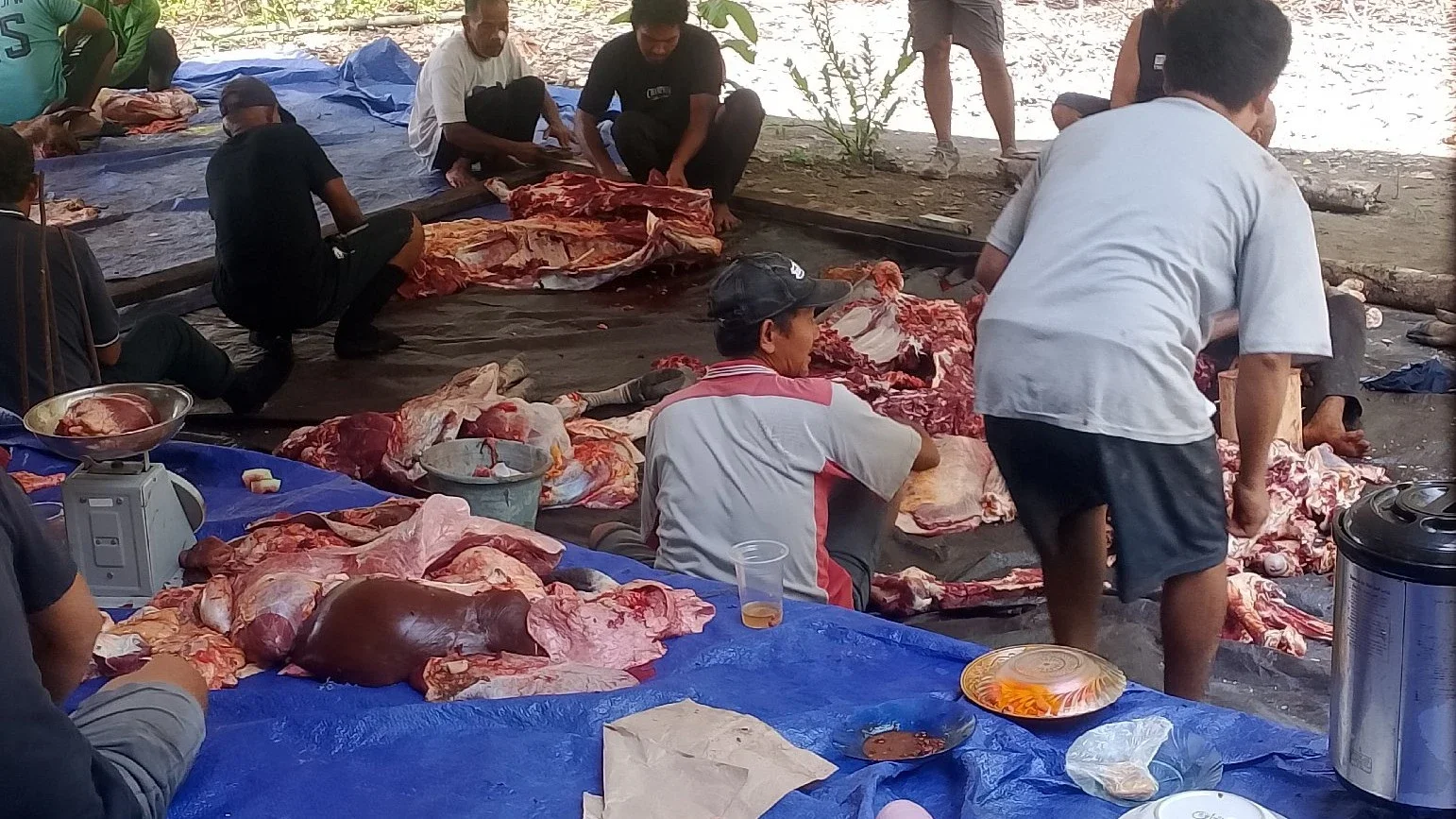 Sembelih hewan kurban merayakan idul adha #Maknaiduladha