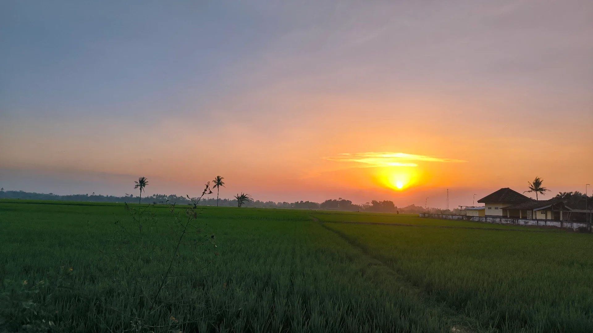 Jalan-jalan Sambil Menikmati Suasana Sore