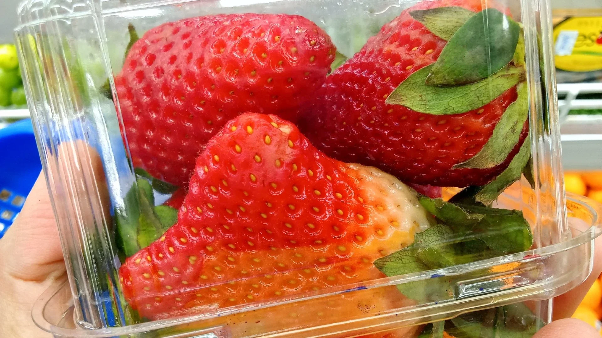 Strawberry Jumbo