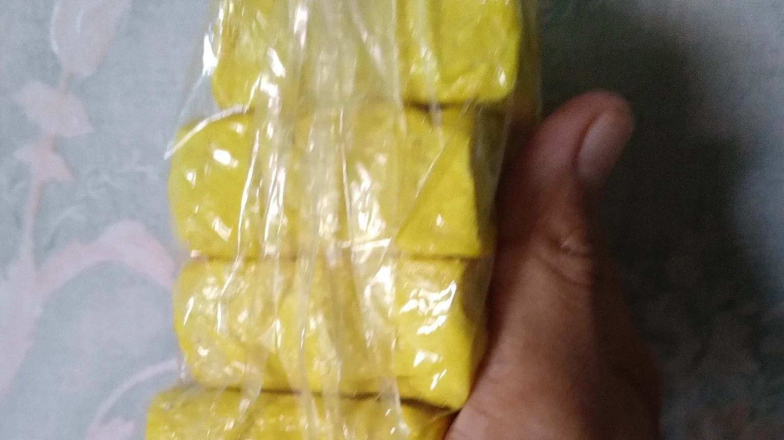 tahu sumber protein nabati