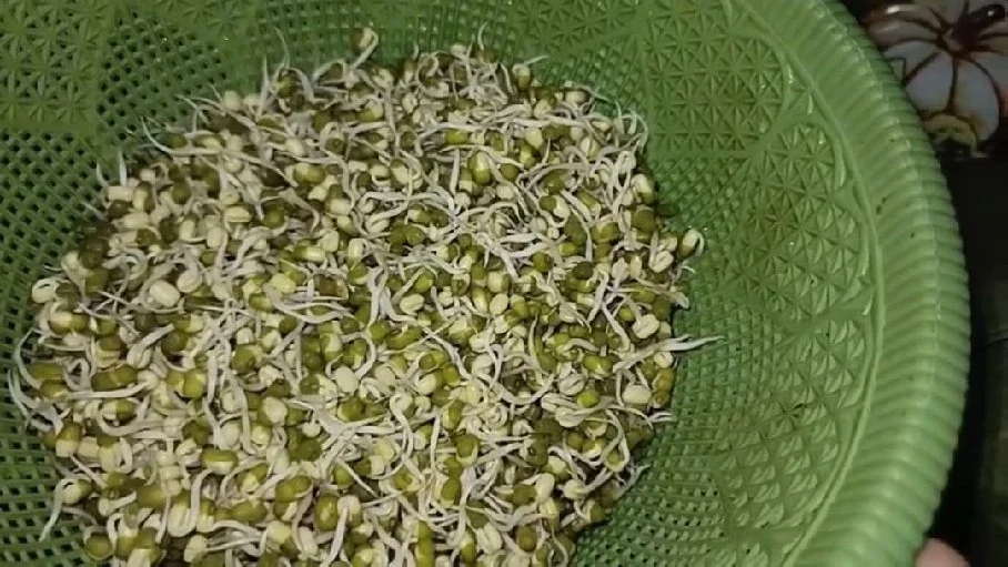 Toge Kacang Hijau