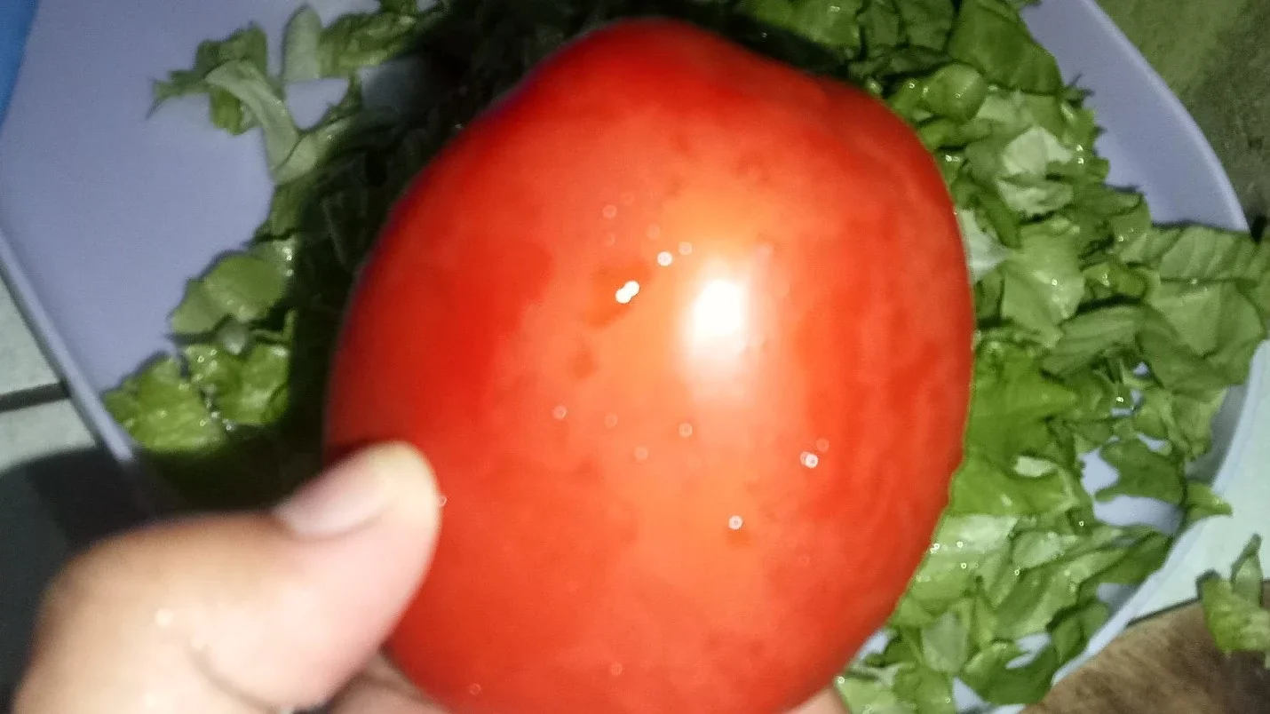 Tomat 🍅🍅🍅