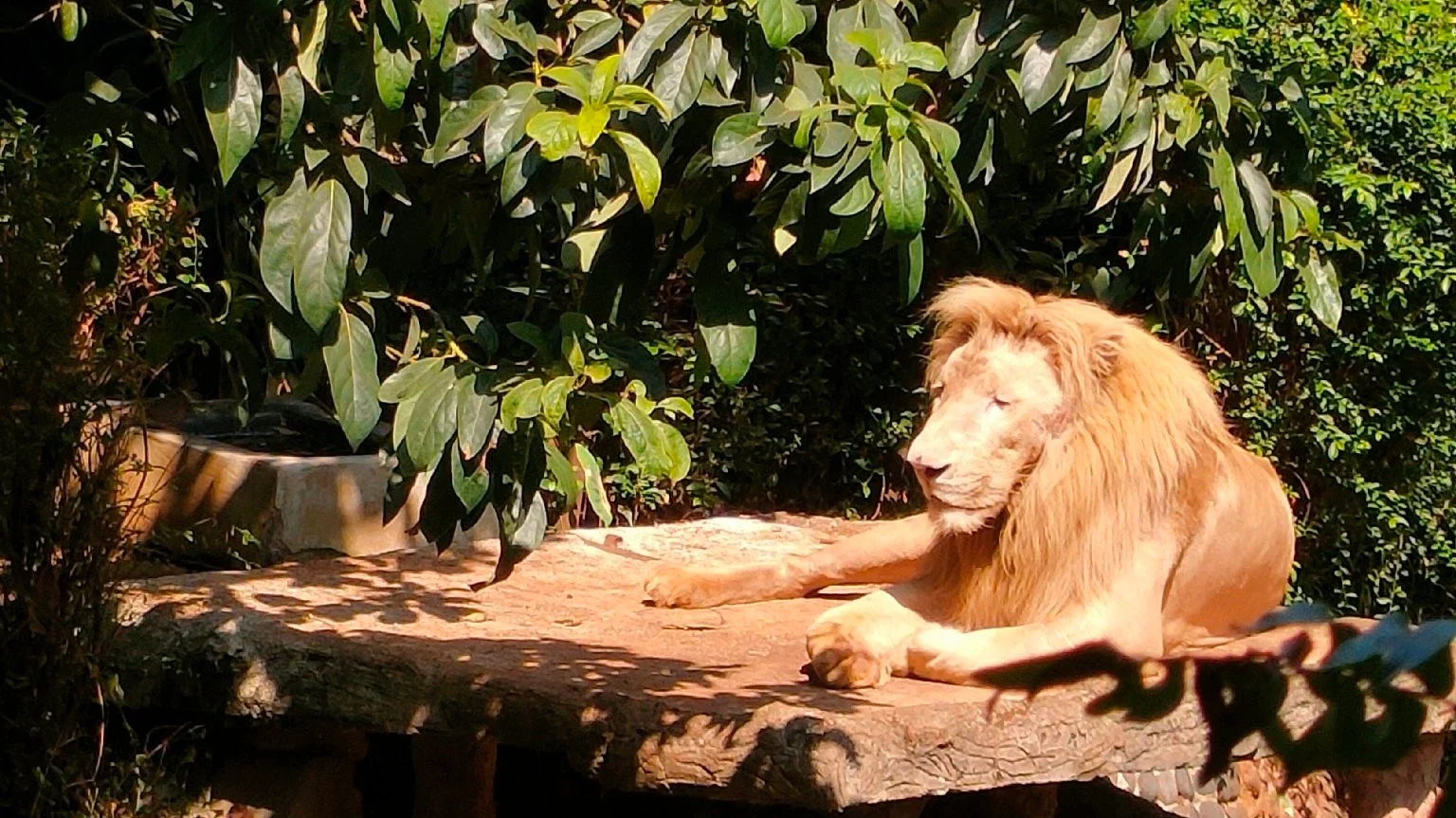 Zoo! Liburan murah meriah menyenangkan!