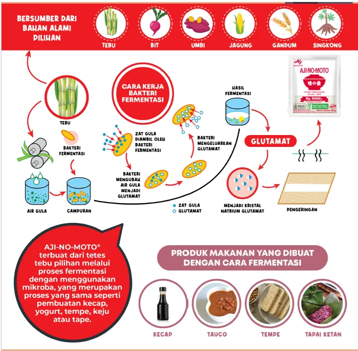 Mau tahu cara pembuatan AJINOMOTO?