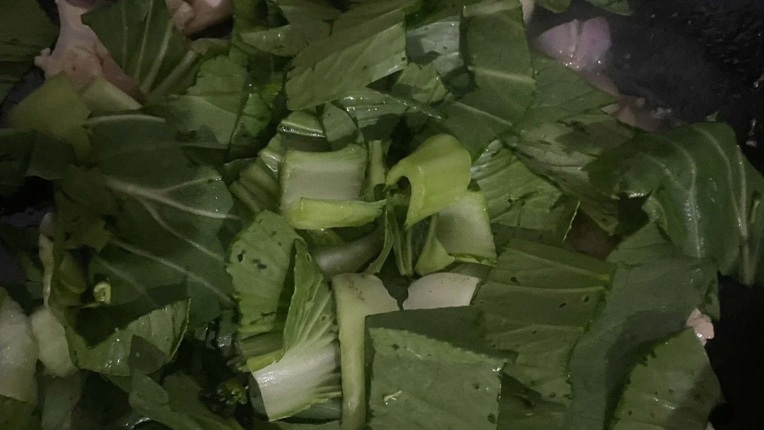 Langkah 5