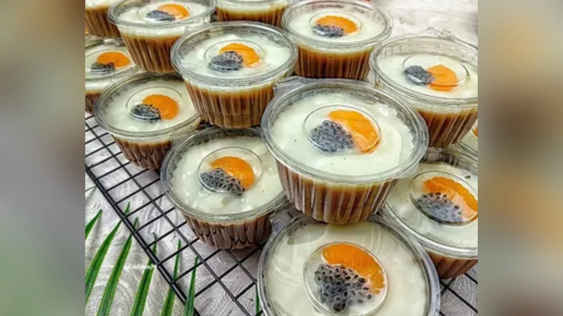 Coco Pudding Vla Vanila ala ajinomoto