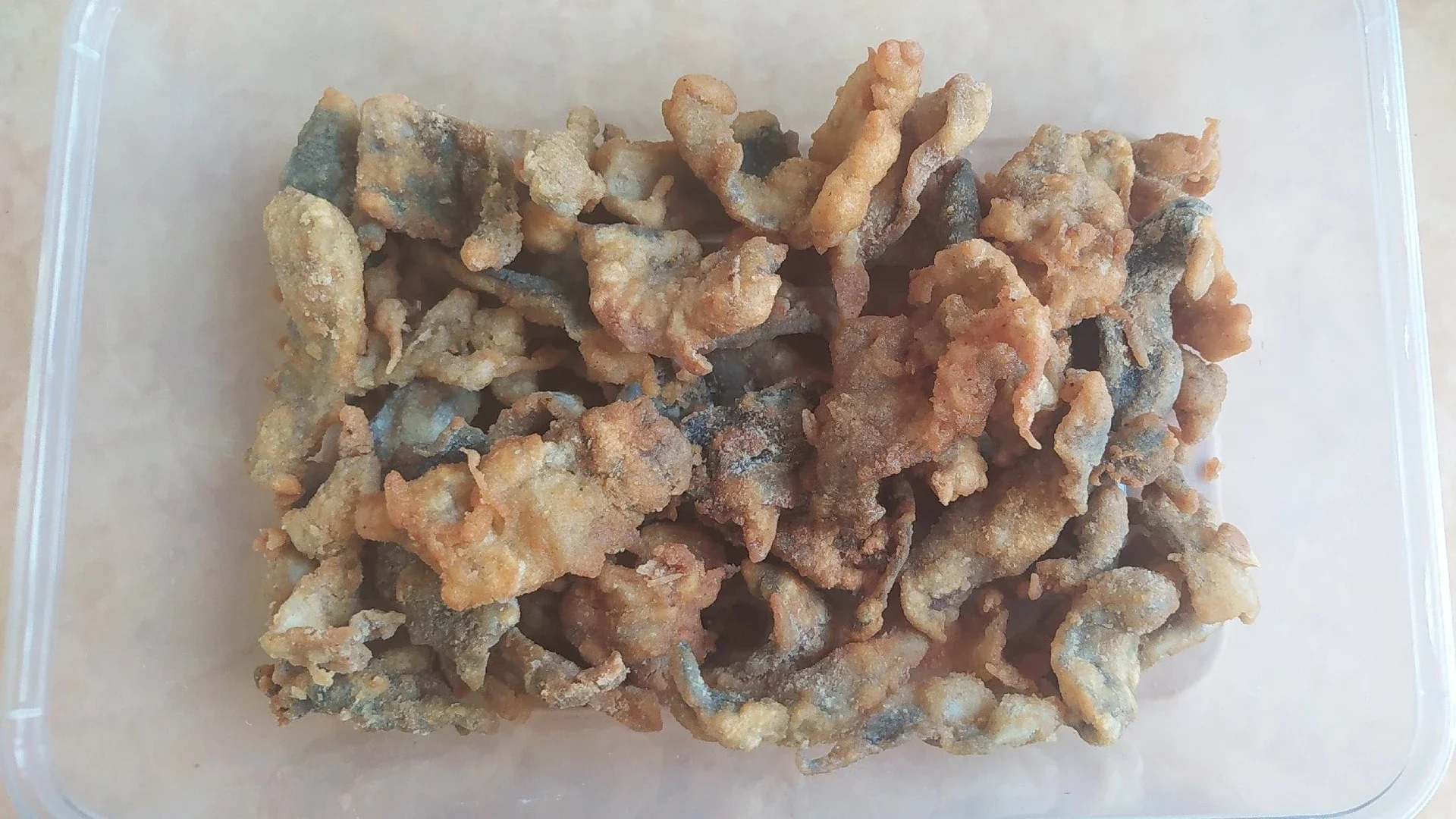 Fish Skin