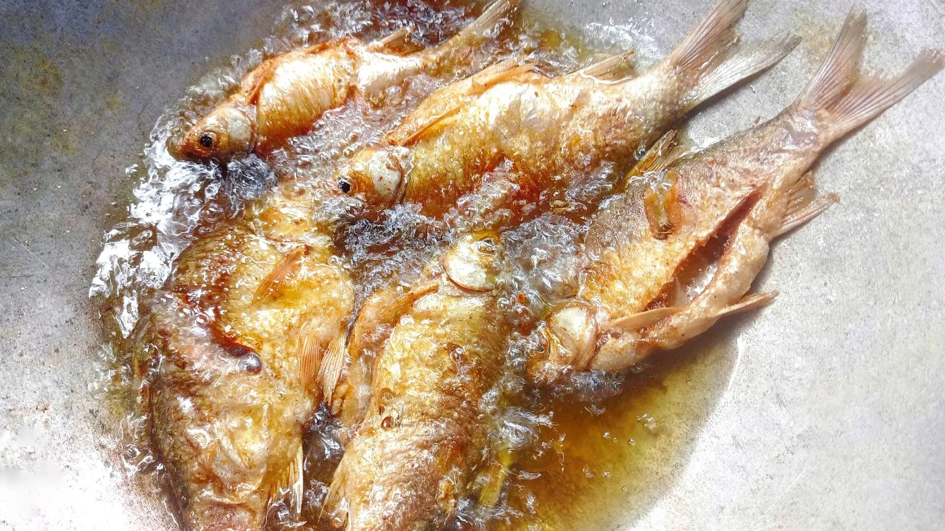 Langkah 4