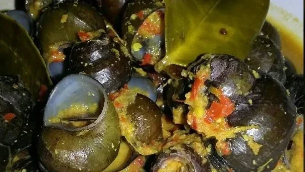 Gulai keong sawah