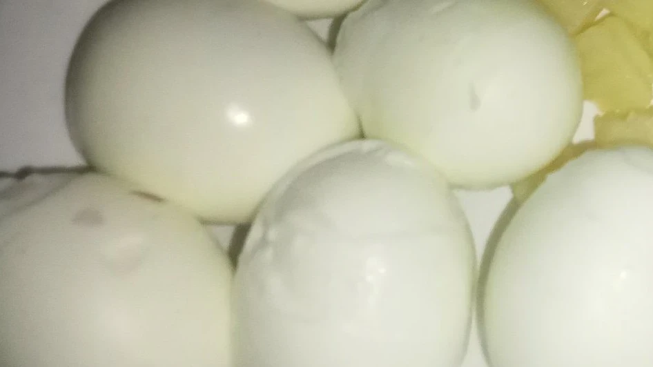Langkah 2