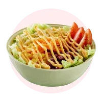 Salad Sayur