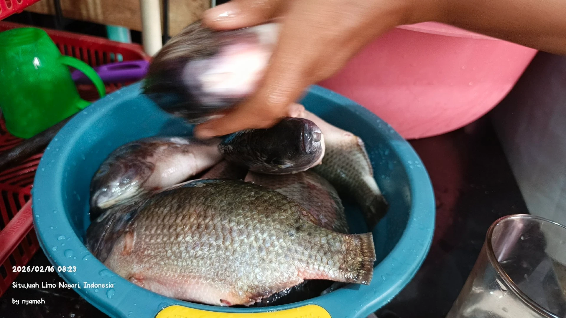 Langkah 1