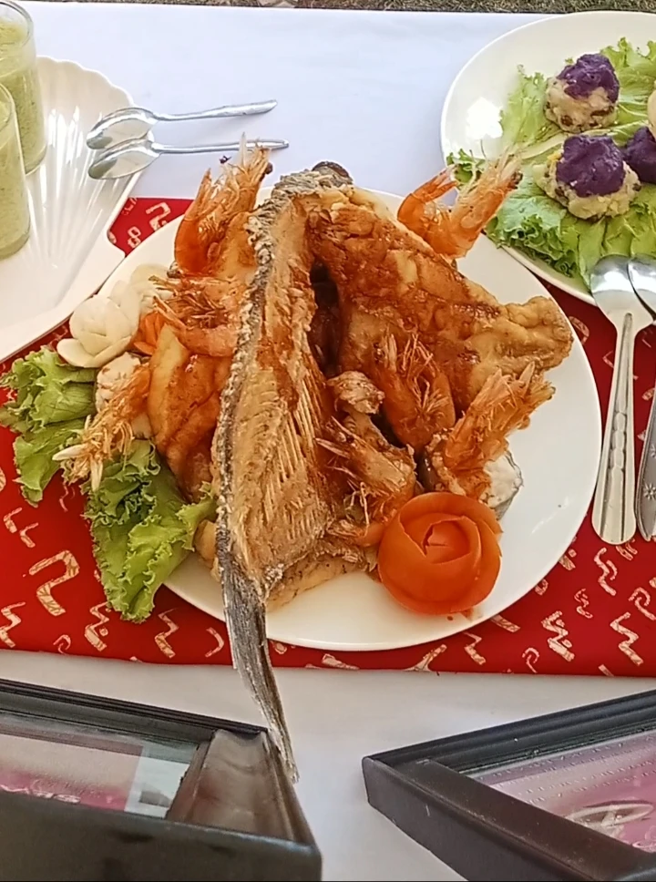 Ikan Gurame Terbang