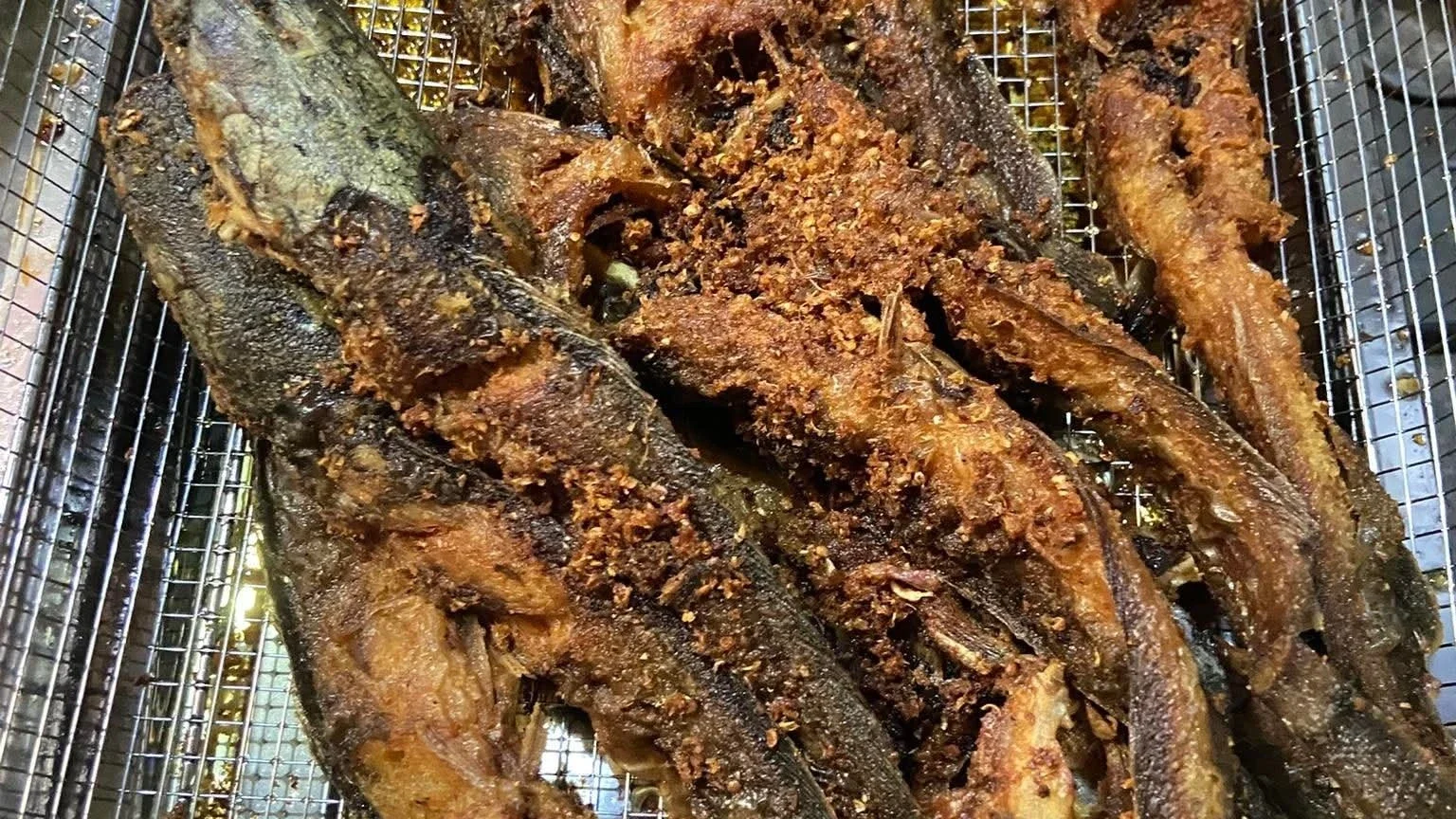 ikan lele