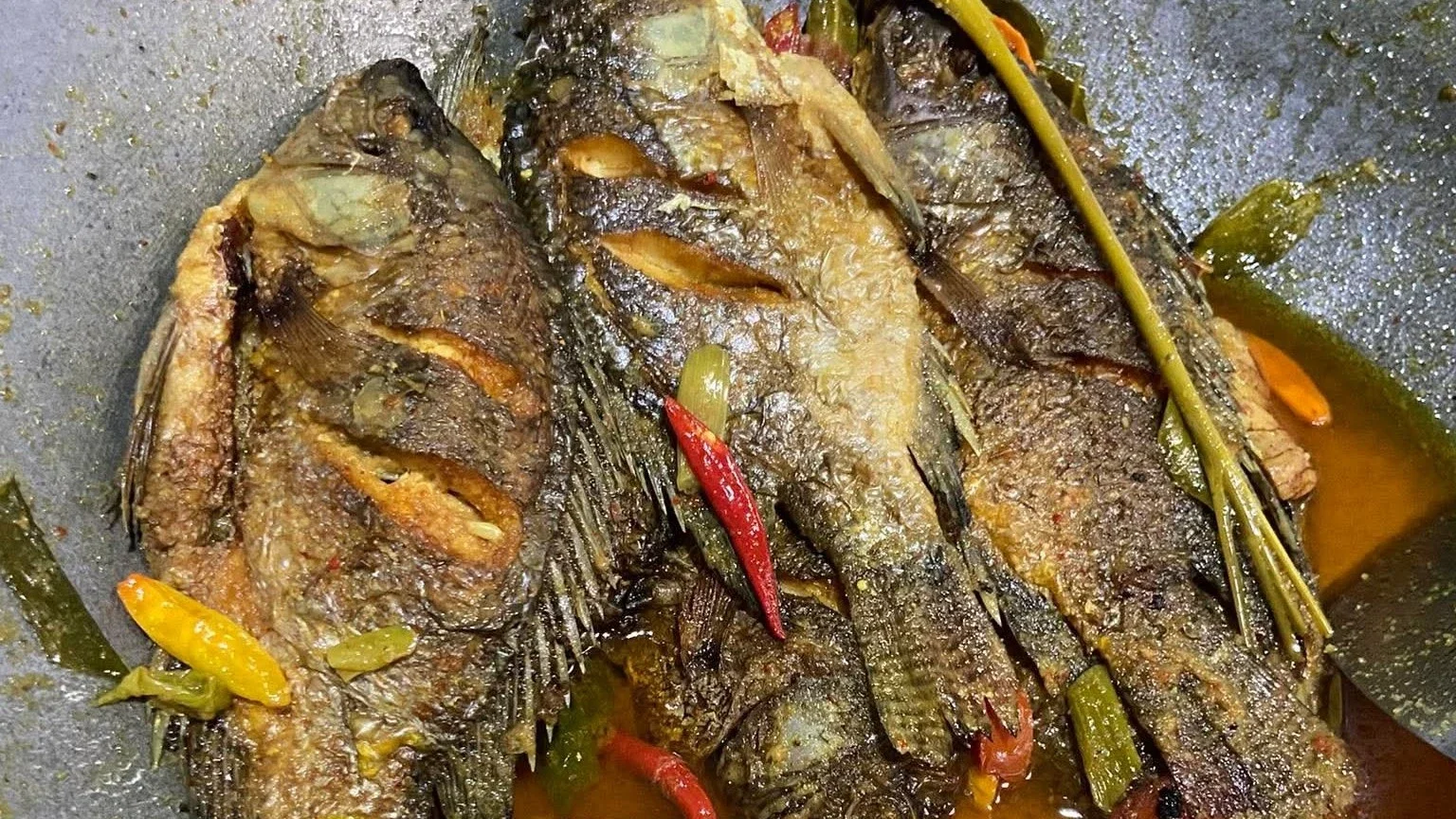 ikan nila