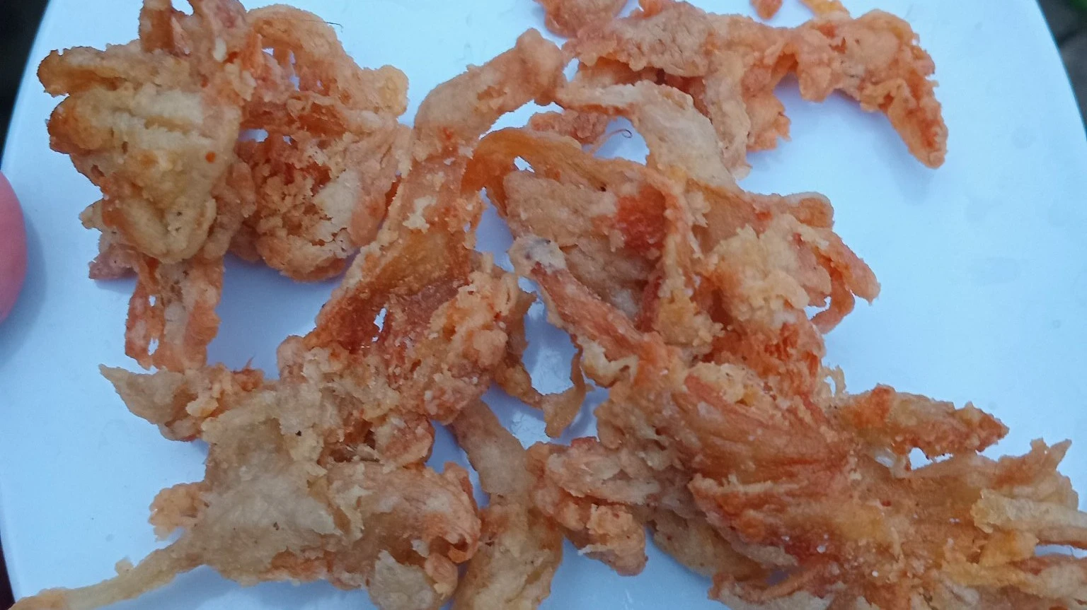 jamur krispy
