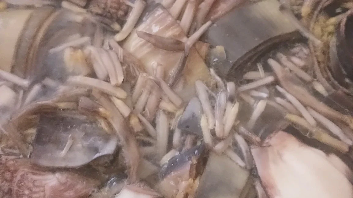 Langkah 1