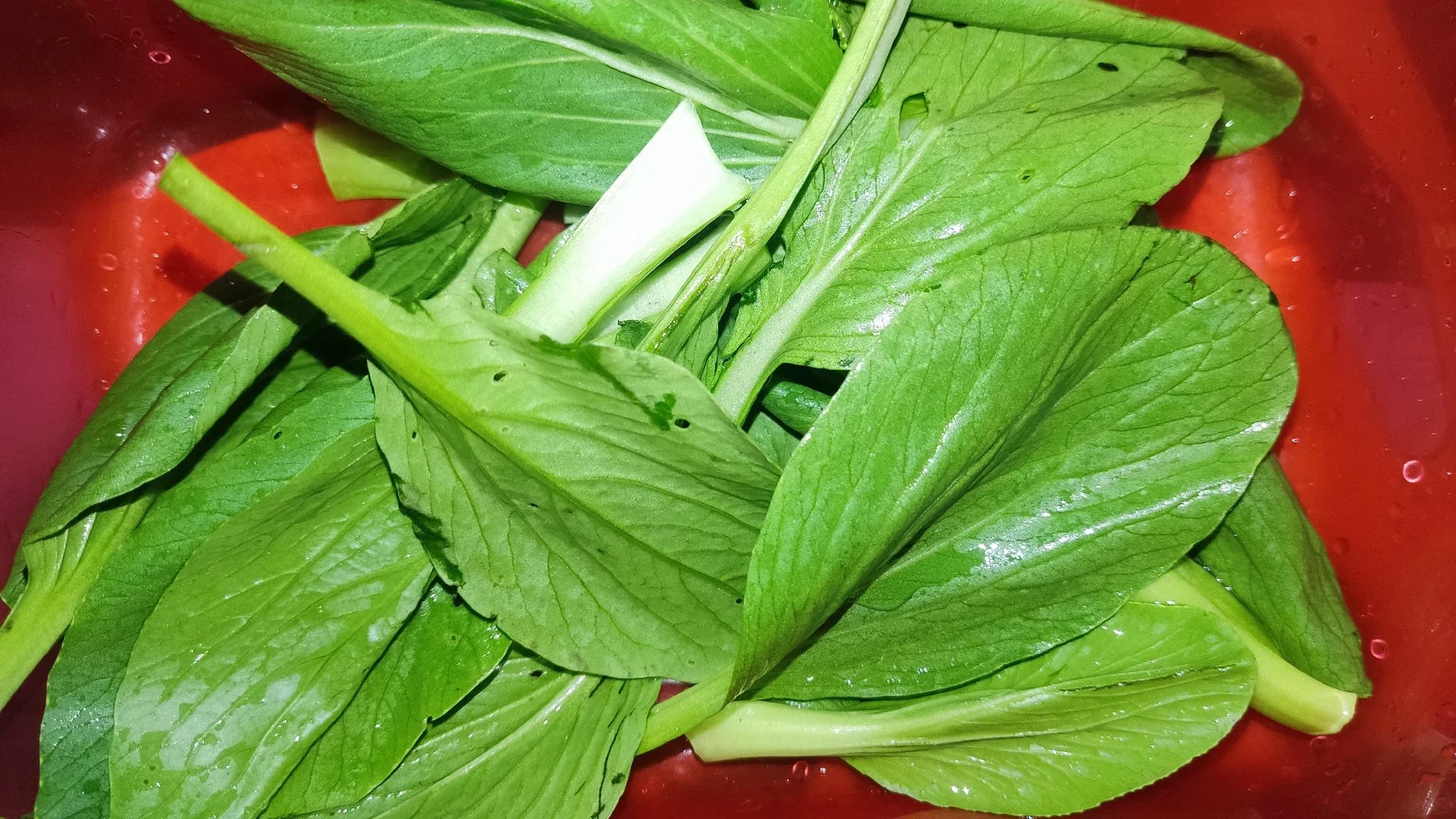 Langkah 1