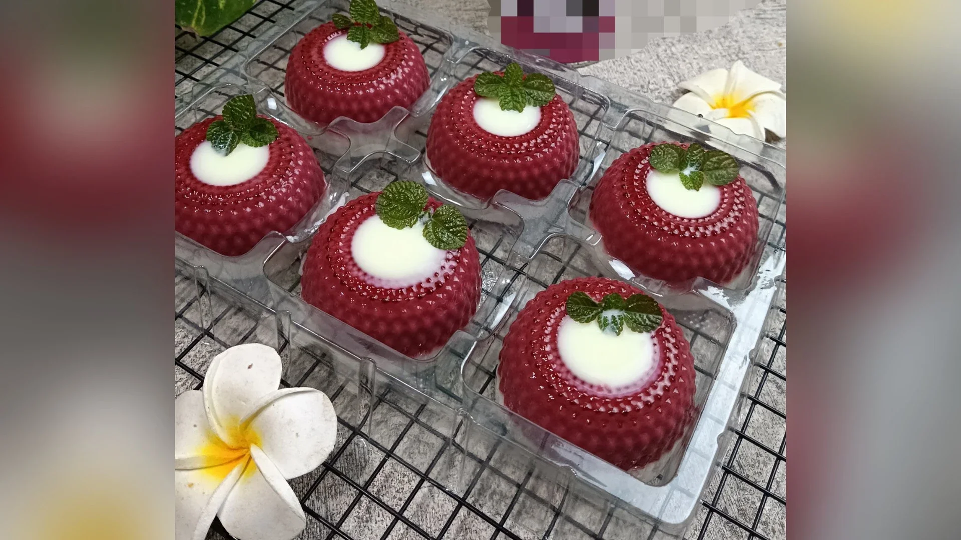 Pudding Redvelvet Vla Vanilla ala ajinimoto