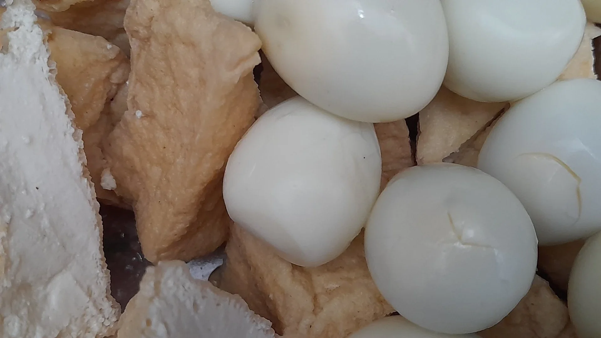 Langkah 1