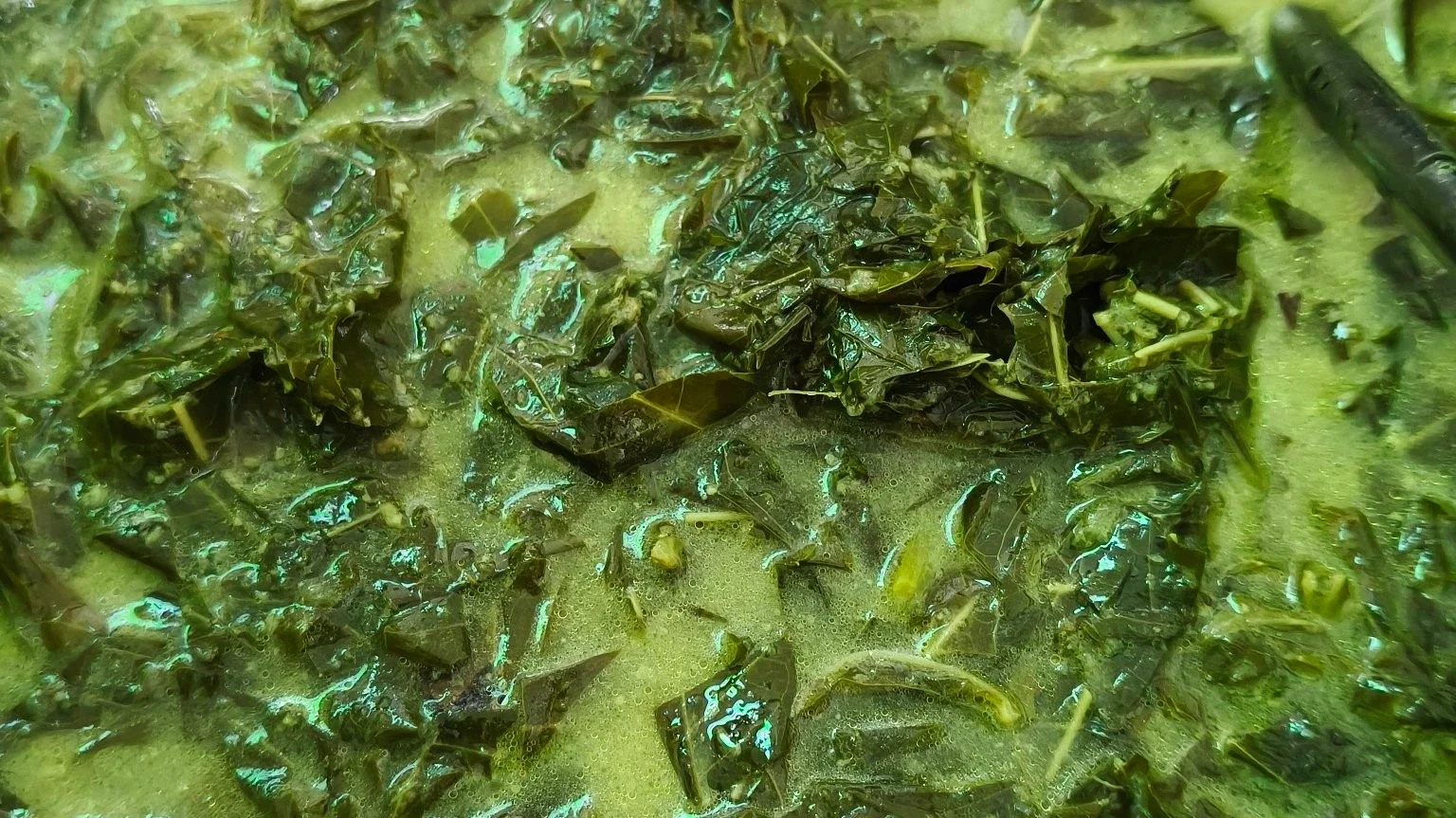 Sayur Daun Singkong