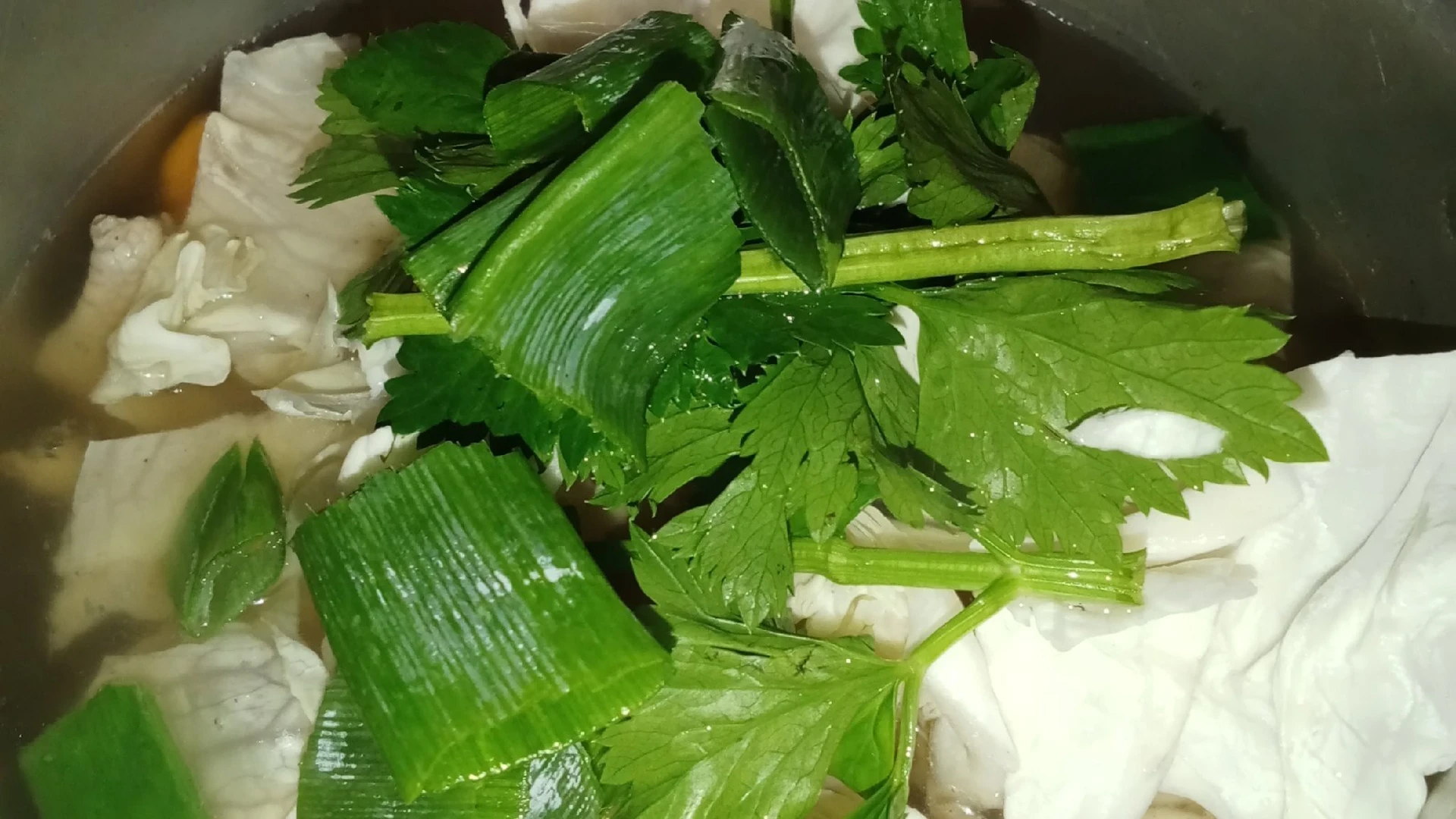 Langkah 6