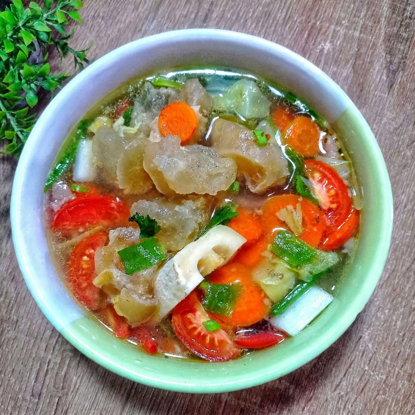 SOP kaki sapi