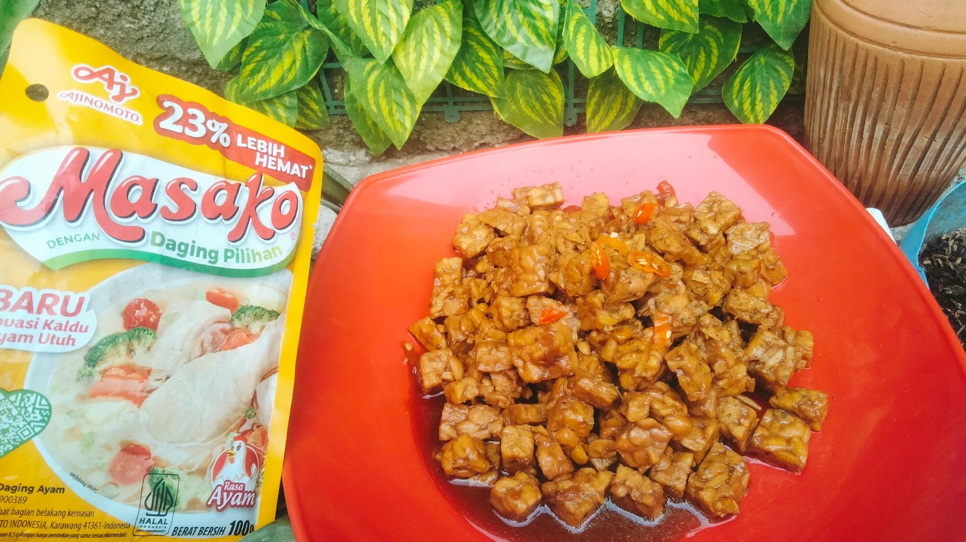 TEMPE KECAP ala MASAKO®