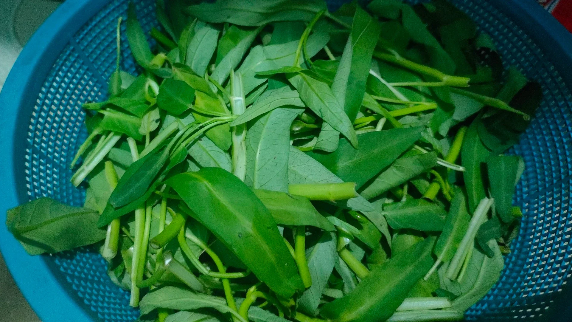 Langkah 1