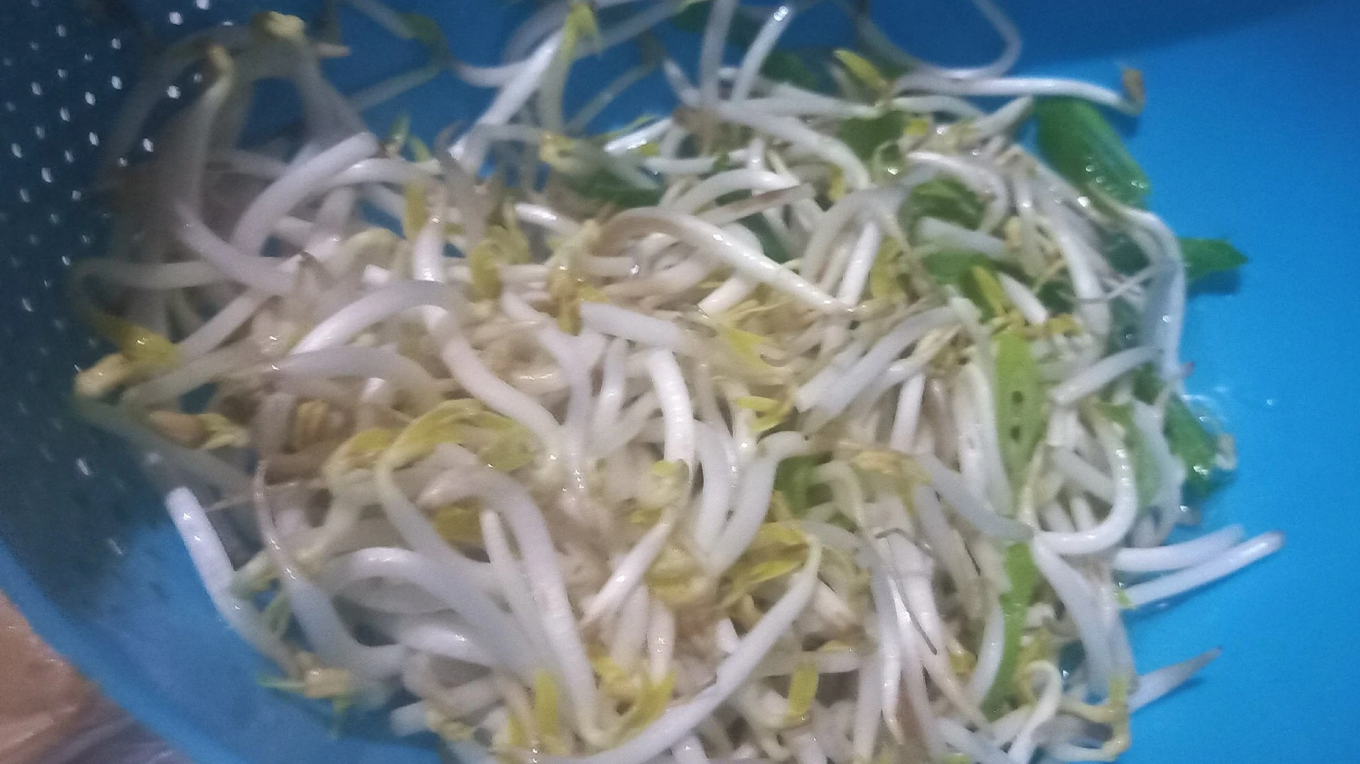 Langkah 2